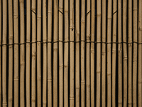 bamboo fence 1