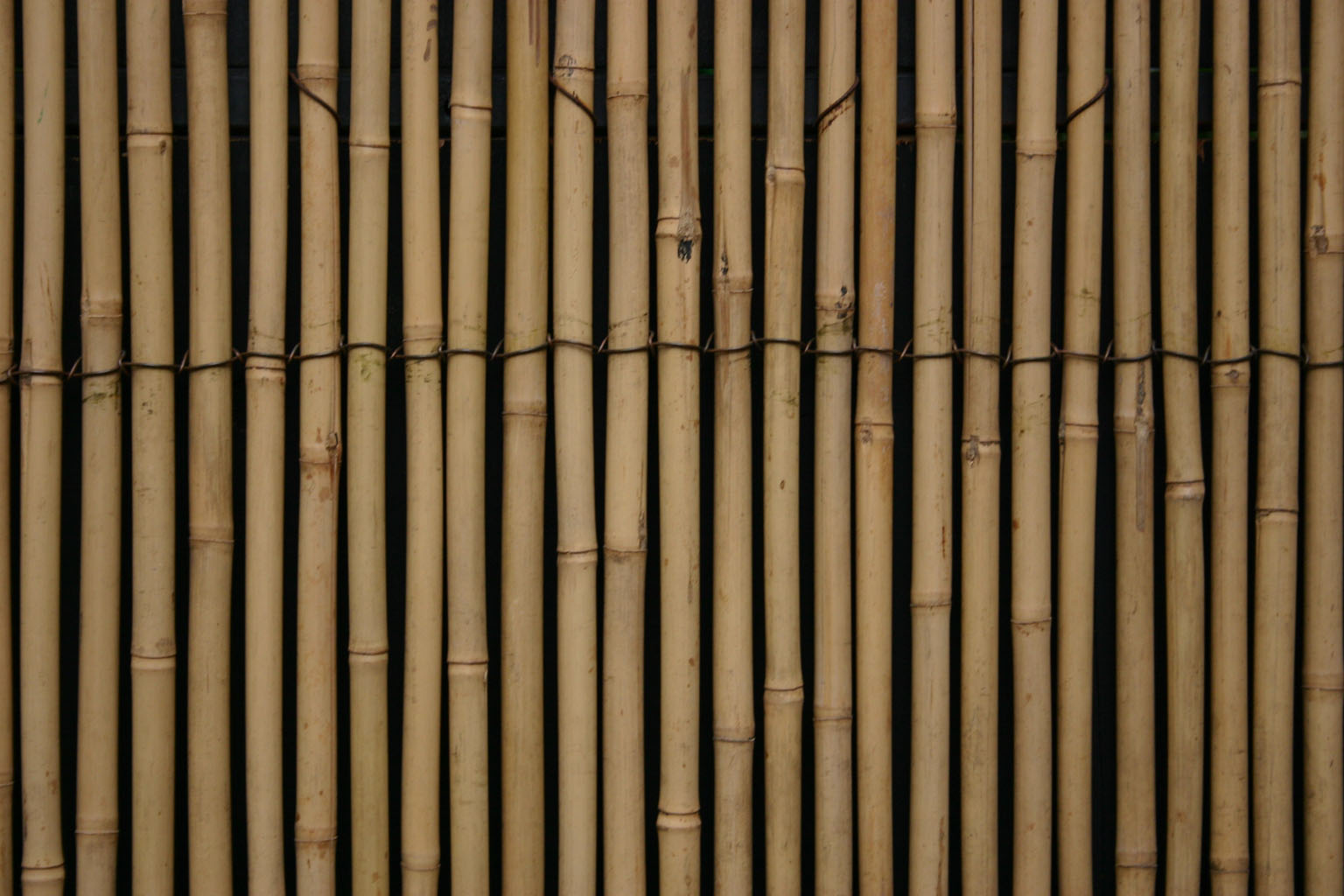 bamboo_fence01