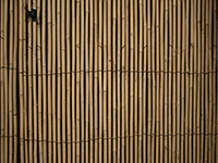 bamboo fence 2
