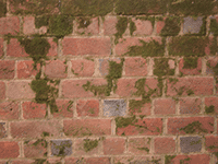 mossy brick
