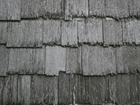 roof shingles 2