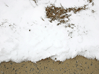 snow on sidewalk