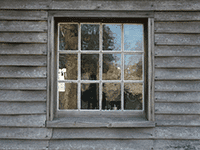 window 5